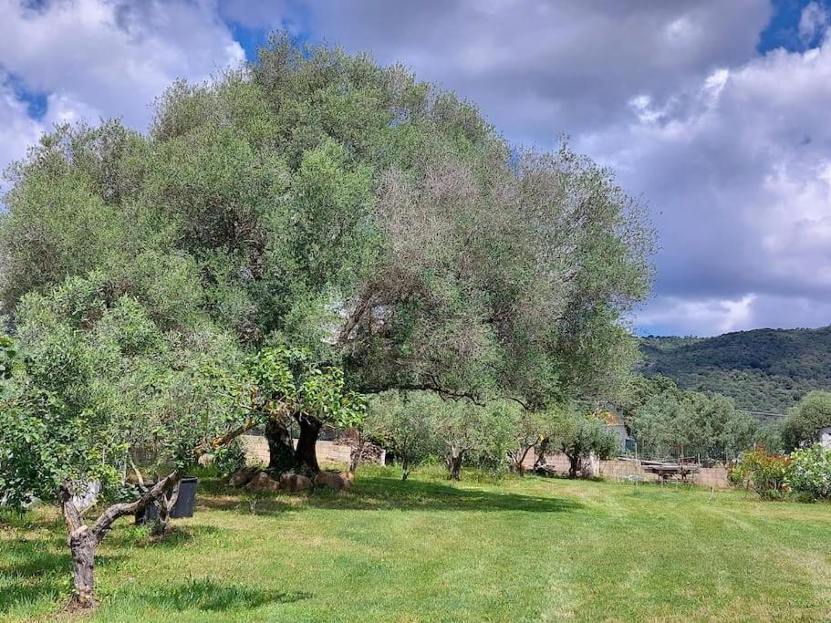 Villa Olbia Grazioso Bilo In Periferia Sole Ruiu Exterior foto