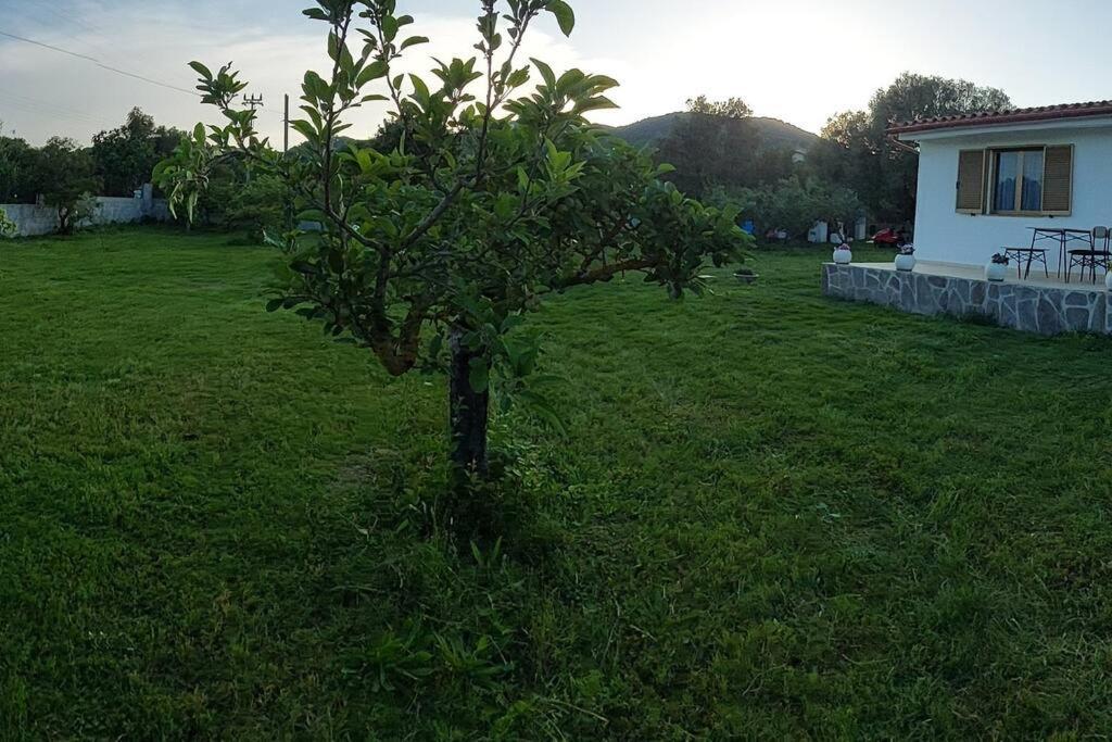 Villa Olbia Grazioso Bilo In Periferia Sole Ruiu Exterior foto